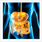 gastroenterologia